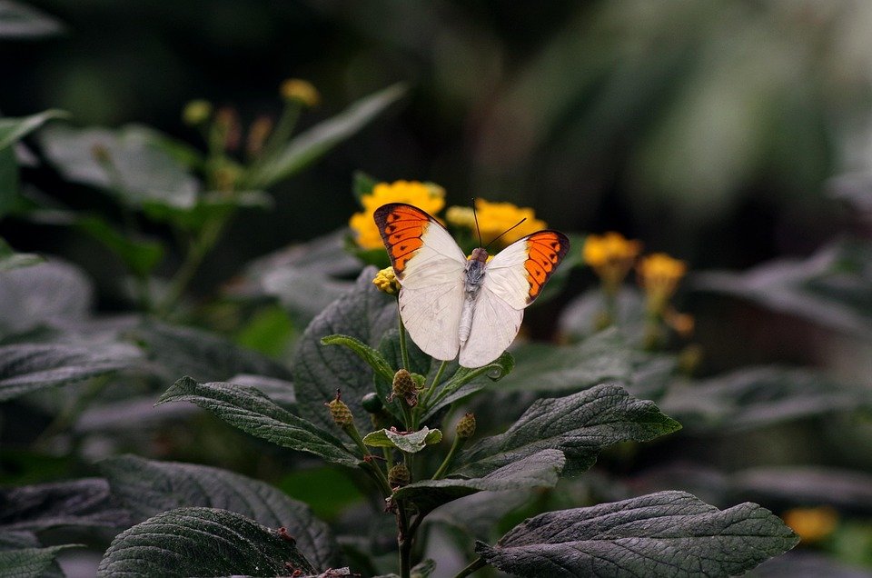 Tips Dapatkan Cadar Queen MUJI Style Original di Malaysia