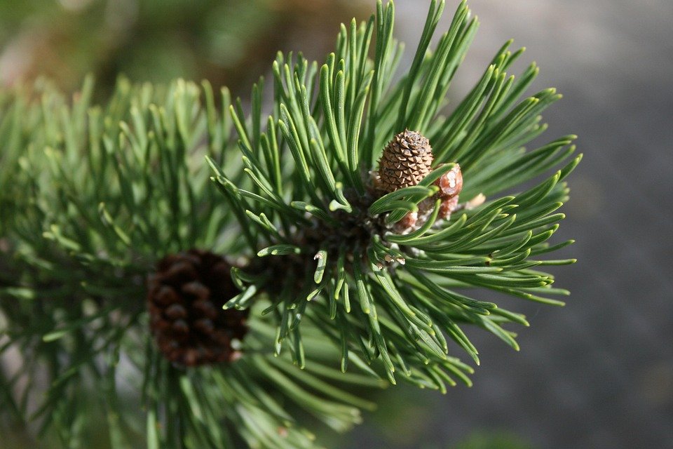 Set Baju Muslimah Zahra Ironless CEY: Hadiah Sempurna Untuk Wanita Tersayang