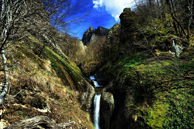 Semburan Kasut Ajaib: Membunuh Bau Busuk Dengan Sekali Spray.