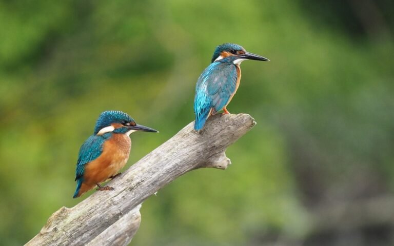 But Martin Lelaki Autumn Terbaru: Jangan Terlepas Promosi Hebat Ini!