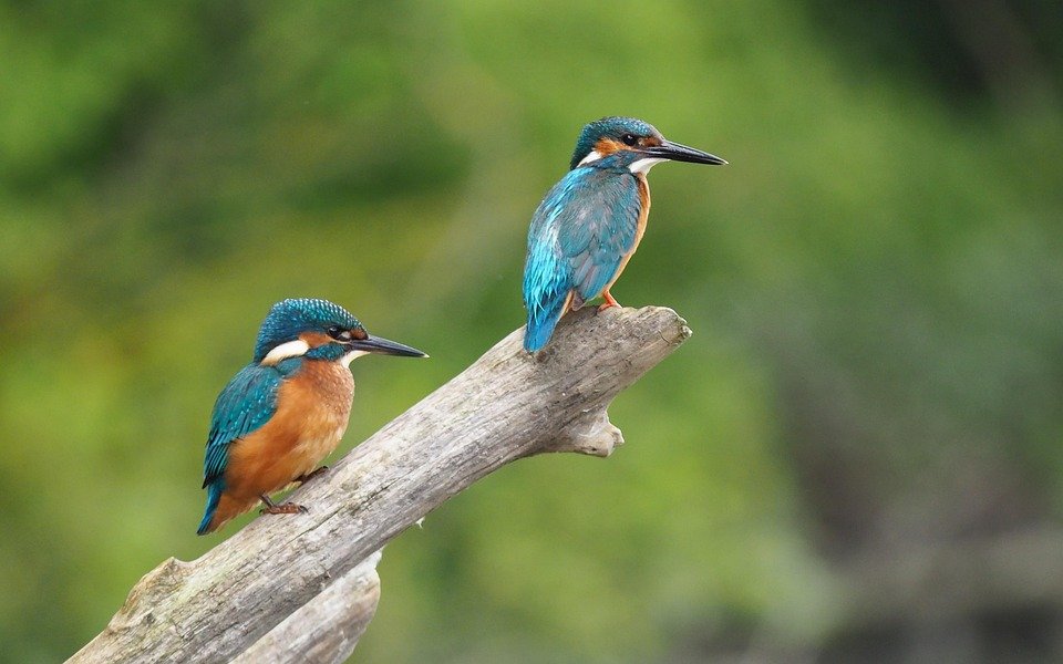 But Martin Lelaki Autumn Terbaru: Jangan Terlepas Promosi Hebat Ini!