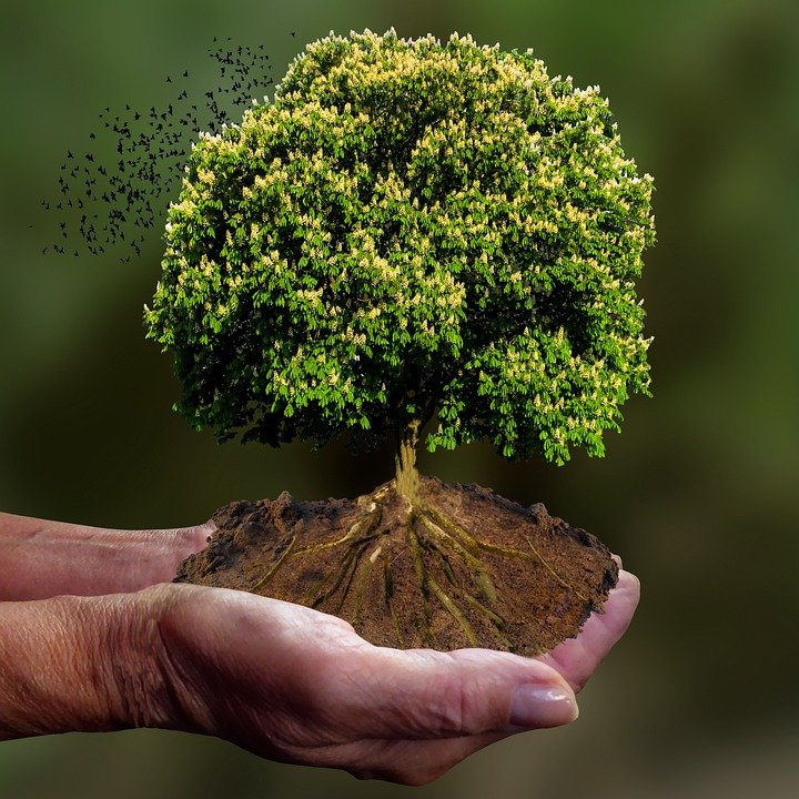 Penyimpan Beras Besar Anti Serangga: Simpan Beras Tanpa Risau