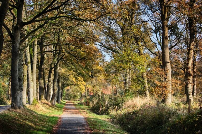 Semburan Kasut Untuk Keyakinan & Ketenangan Jiwa.