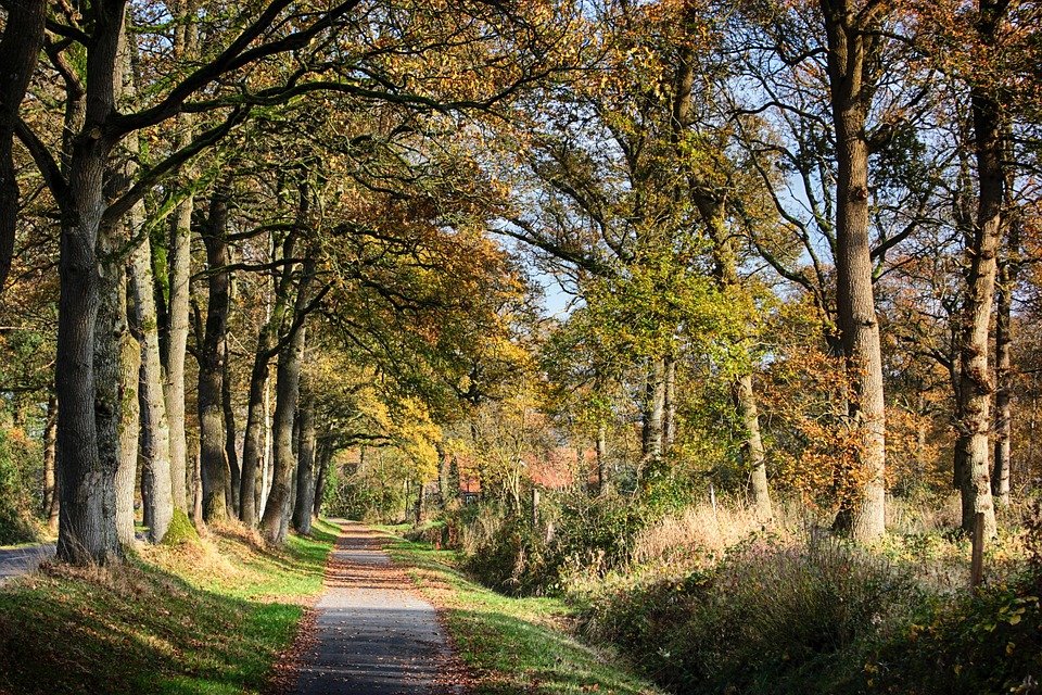 Semburan Kasut Untuk Keyakinan & Ketenangan Jiwa.
