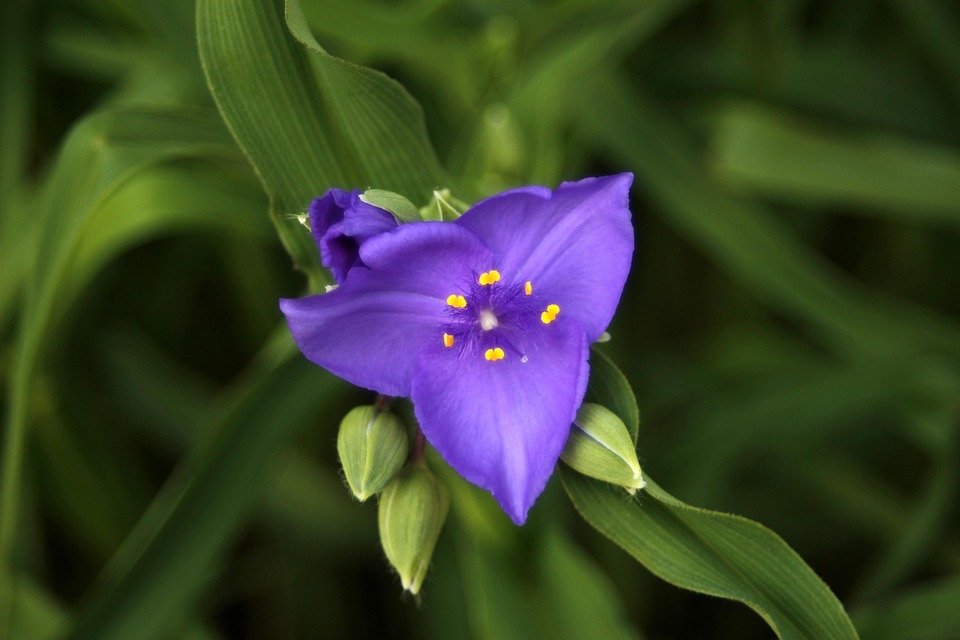 Keropok Lekor Gotel Vakum RM1: Snek Yang Akan Membuat Anda Rasa Berbaloi Setiap Sen.