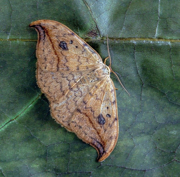 Tips Penjagaan Kain T-shirt ZEKE A0028 Agar Tidak Rosak