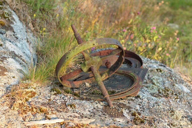 Deodoran Kasut Murah: Kualiti Terbaik Untuk Kasut Anda.