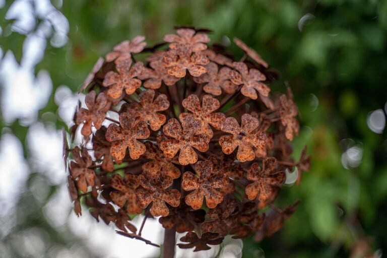 Bekas Beras Dengan Sistem Penyaringan Udara