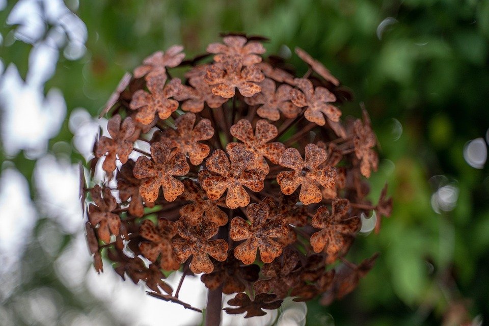 Bekas Beras Dengan Sistem Penyaringan Udara