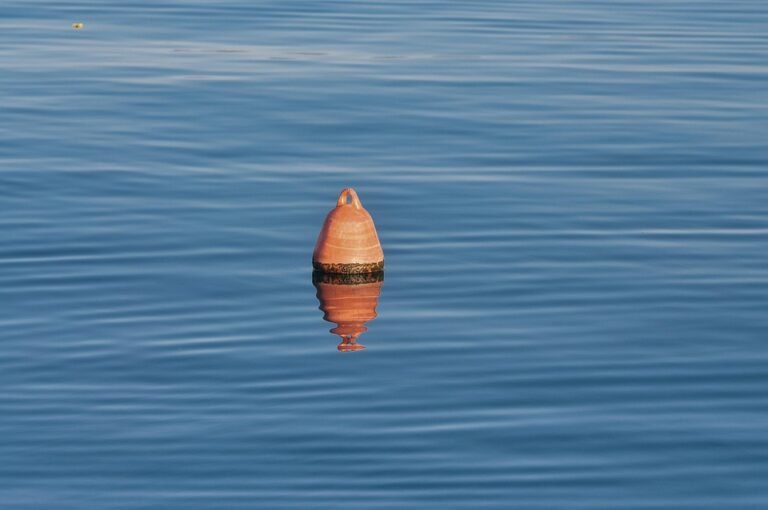 Boya Puteh: Rahsia Wangian Kekal Menawan Sepanjang Hari