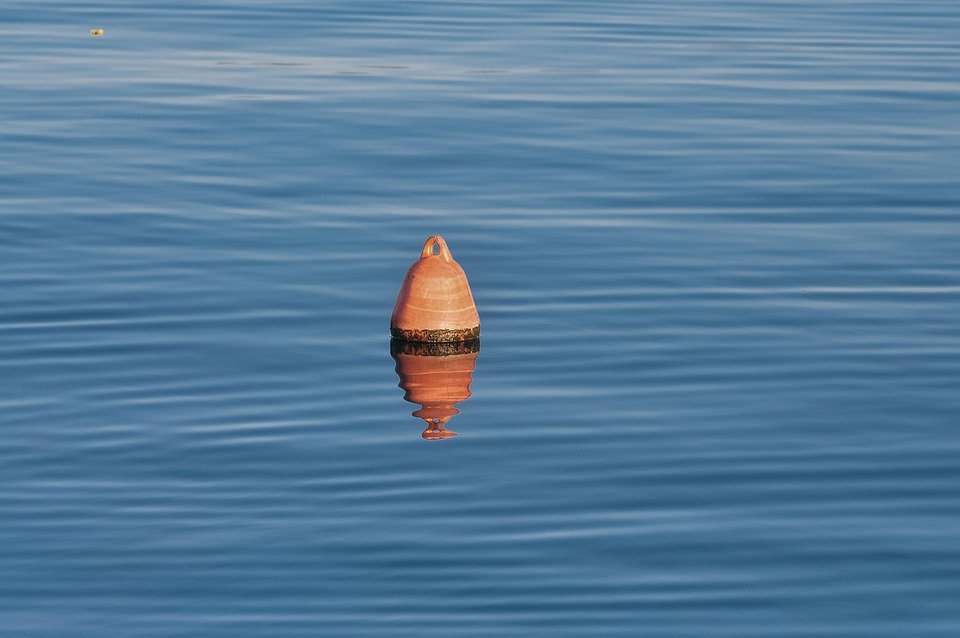 Boya Puteh: Rahsia Wangian Kekal Menawan Sepanjang Hari