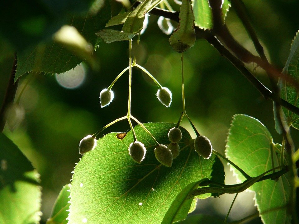 Tilam Angin Outdoor: Pilihan Paling Cerdas Untuk Kaki Kembara.