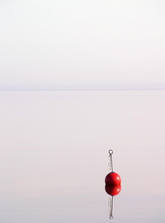 Boya Darat: Aroma Bumi Yang Membuatkan Anda Terasa Dekat Dengan Alam