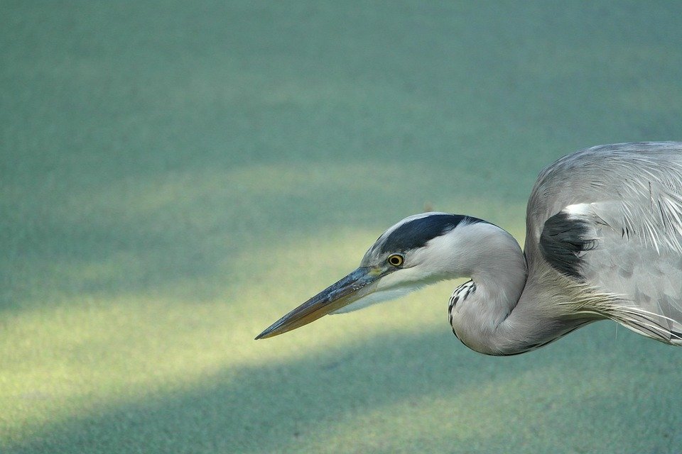 Mengapa Kasut Anti-Slip Penting Untuk Gaya Hidup Anda?