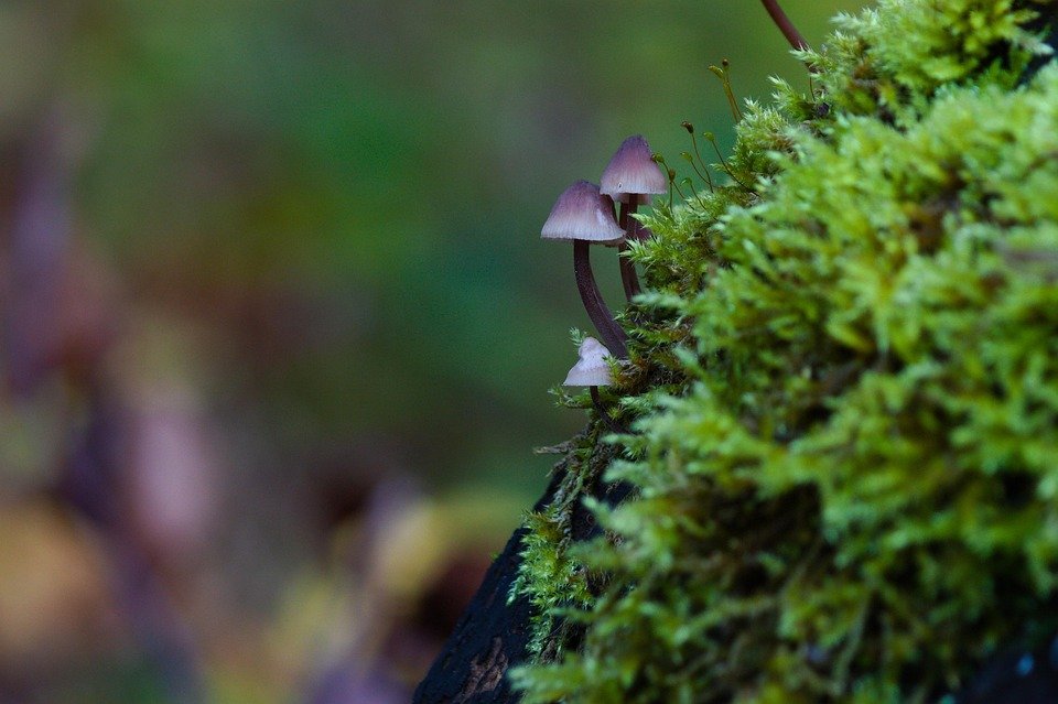 Mengapa Cadar Ropol Patchwork Adrian Ini Sangat Popular Di Malaysia?