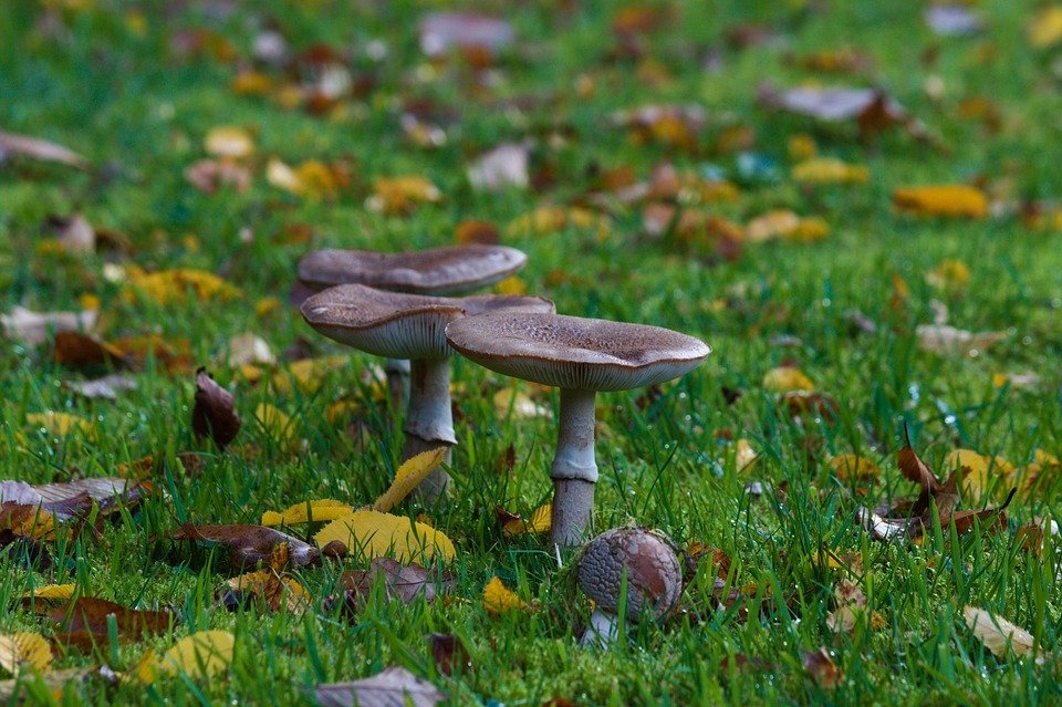 Mengapa Produk Ini Jadi Pilihan Ramai di Malaysia.