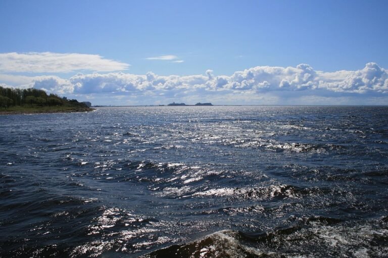 Tips Aplikasikan Glad2Glow Cushion untuk Hasil Flawless Maksimal.