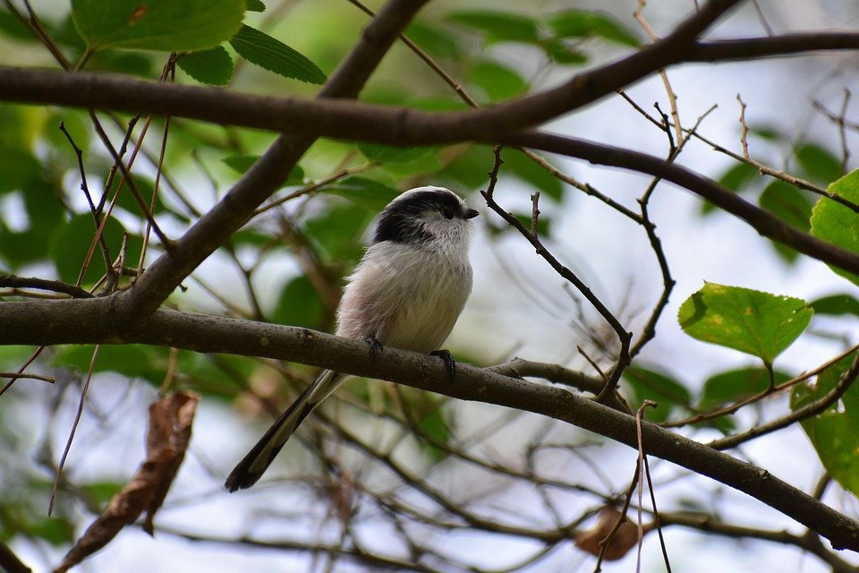 Panduan Penjagaan Set Cadar Queen 4in1 Gaya MUJI Agar Kekal Cantik