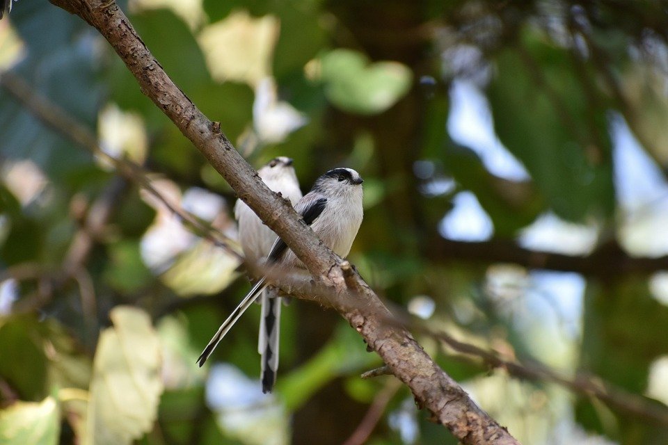Panduan Pembelian Kuali Masaki Honeycomb Untuk Pertama Kali.