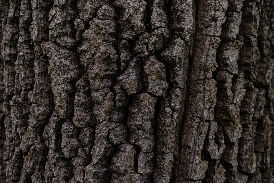 But Kulit Lelaki Serbaguna 2022: Investasi Terbaik Untuk Fesyen Anda