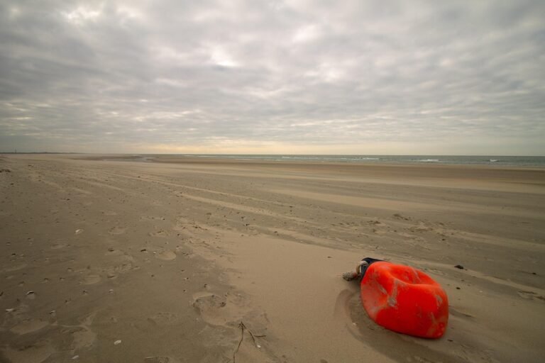 Boya Emas: Wangian Yang Melambangkan Keberanian Dan Kekuatan