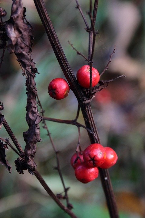 Kesan Ajaib AISYAH HOMES Pada Kasut Sukan Yang Berbau