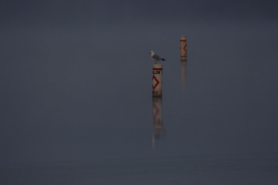 Boya Jate: Haruman Yang Akan Menemani Anda Dalam Setiap Aktiviti