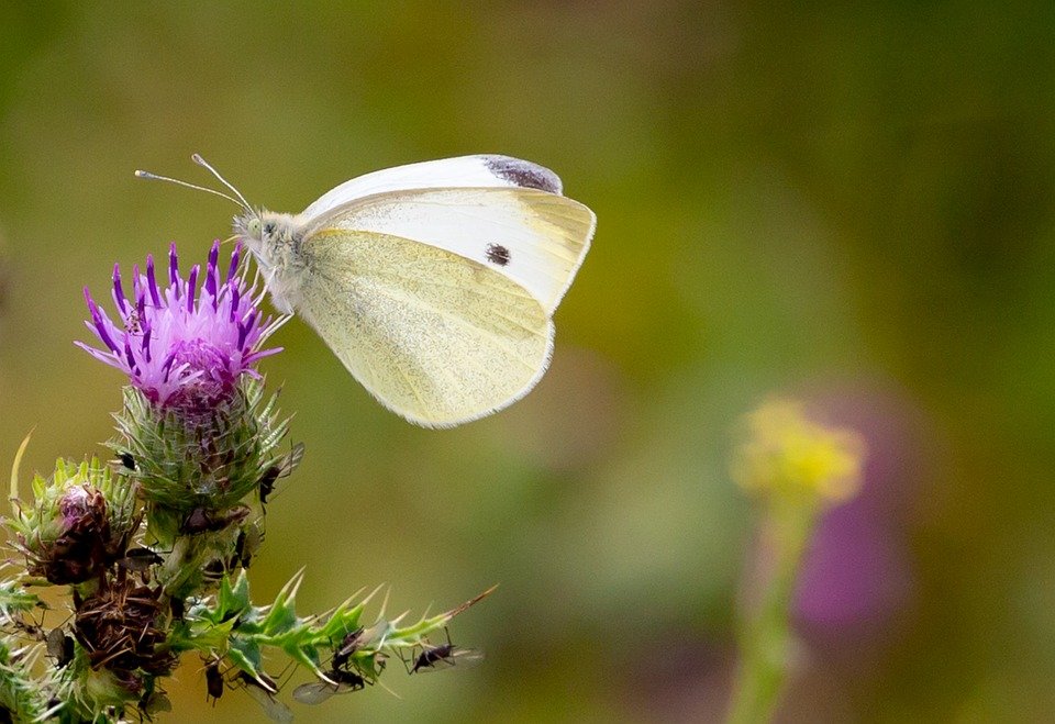 Tips Memilih Kasut Soft-Soled Yang Betul Untuk Aktiviti Anda.