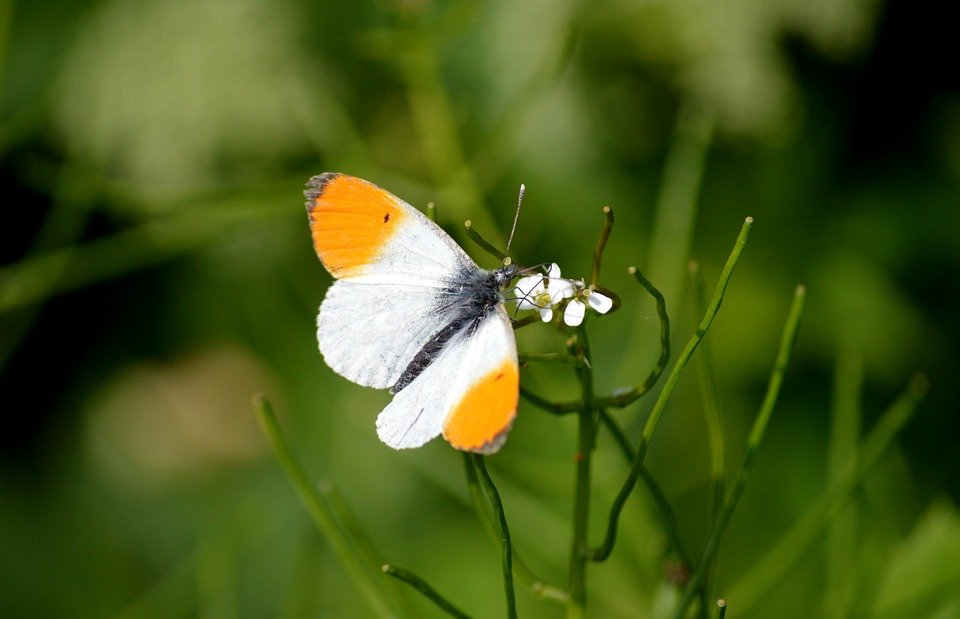 Tips Penjagaan FOCALLURE Palet Pembayang Mata Agar Tahan Lama.