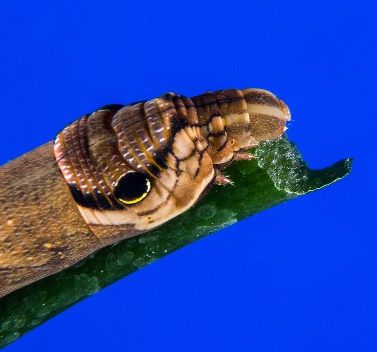 Bagaimana AISYAH HOMES Membantu Mencegah Jangkitan Kaki?
