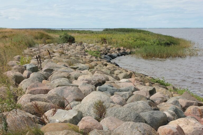 Semburan Kasut Yang Menyegarkan Dengan Bau Vanila.