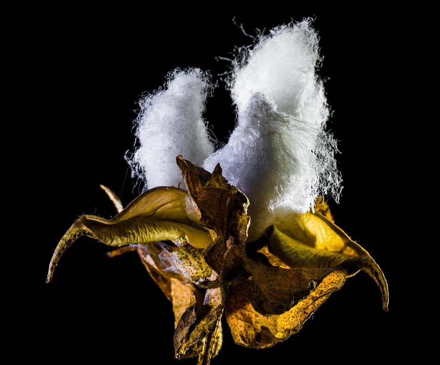 Palazzo Cotton Murah Tapi Nampak Mahal