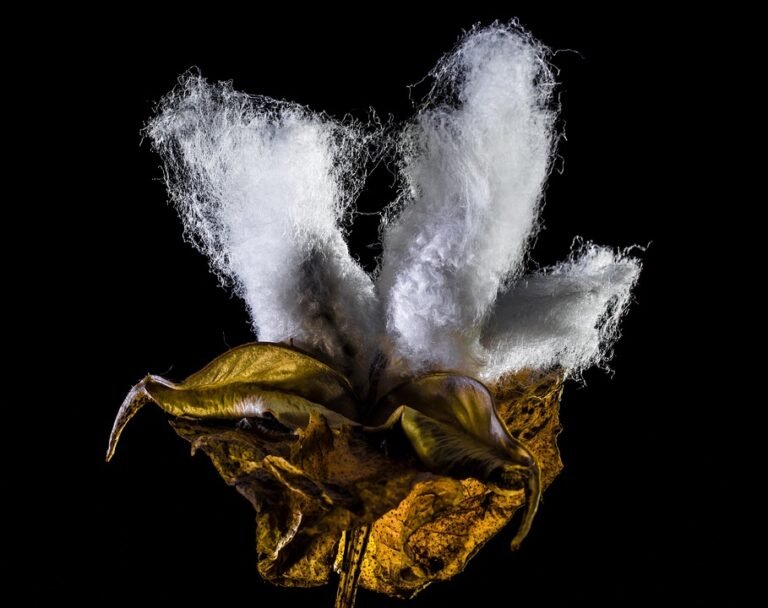 Palazzo Cotton Selesa Untuk Bergerak Bebas Sepanjang Hari