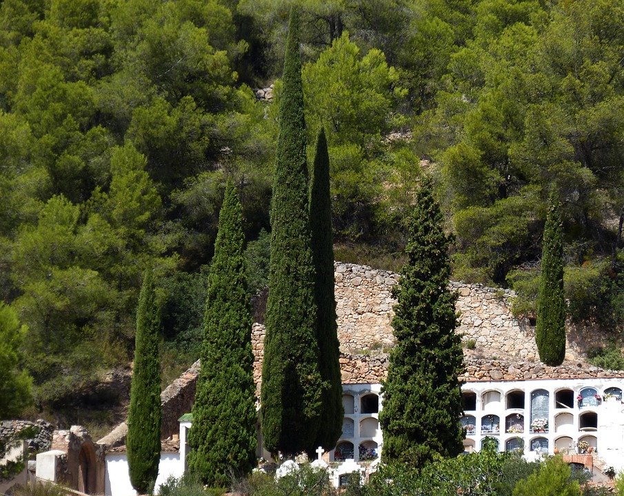 Kasut Niche Design Pure Black: Inspirasi Dari Fesyen Terkini