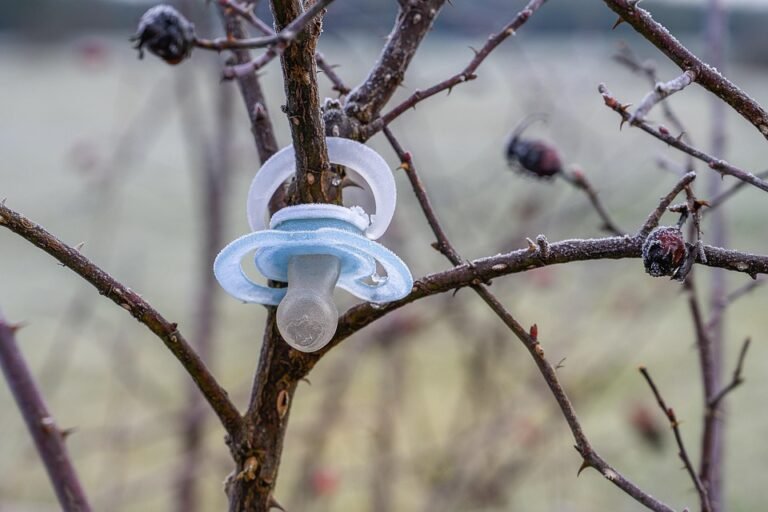 Silicone Scar Sheet: Rawatan Parut Pembedahan Paling Berkesan dan Disyorkan Oleh Guru