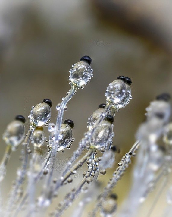 Kingston Micro SD 1TB Viral: Storan Hebat Mesti Ada