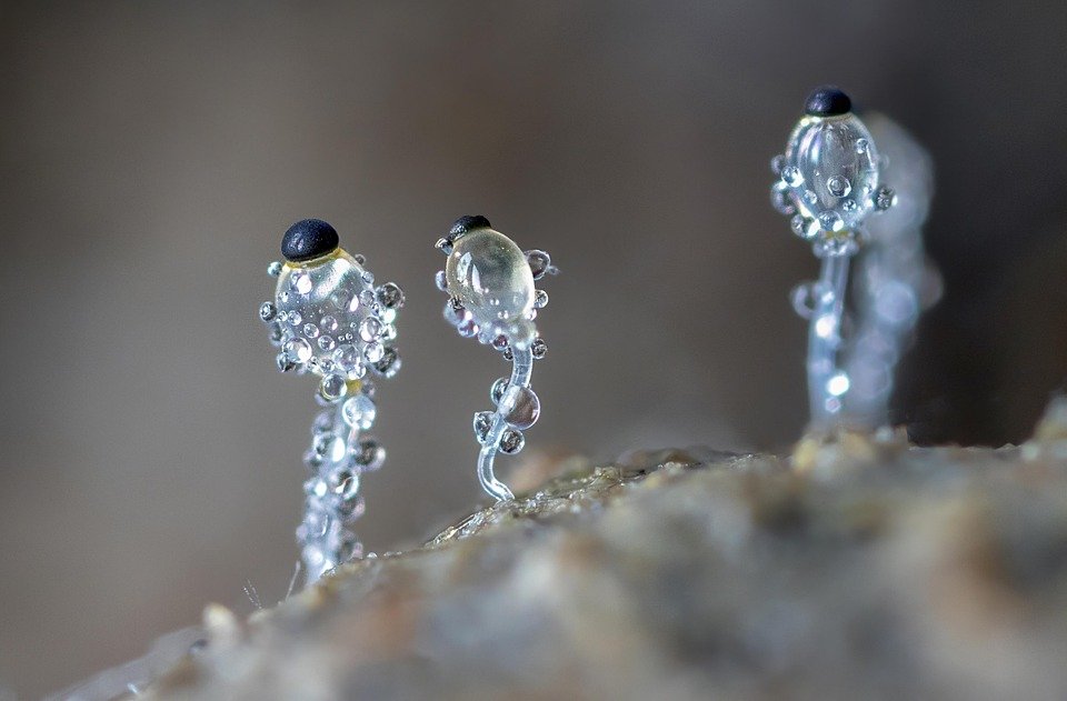 Kingston Micro SD 512GB: Alternatif Terbaik Storan Awan