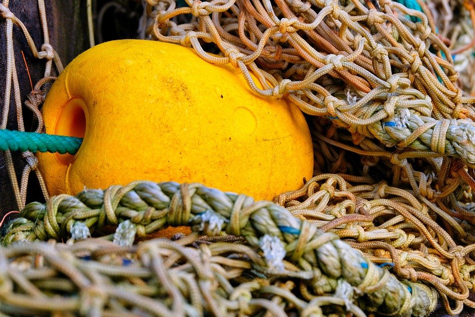 Boya Puteh: Keharuman Manis Untuk Wanita Anggun