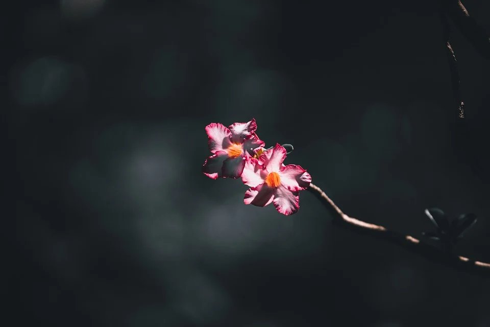 BIOAQUA Depth Whitening Mask: Kembalikan Seri Wajah Anda yang Hilang