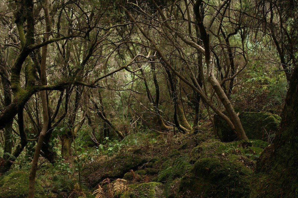 Tilam Angin Portable WTHB: Pilihan Utama Untuk Apartment Kecil.