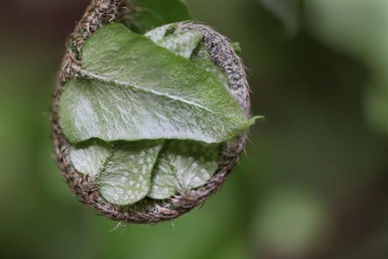 Tips Memilih Warna Set Baju Muslimah Zahra Ironless CEY Yang Sesuai Dengan Kulit