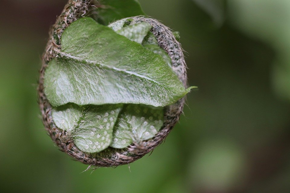 Tips Memilih Warna Set Baju Muslimah Zahra Ironless CEY Yang Sesuai Dengan Kulit