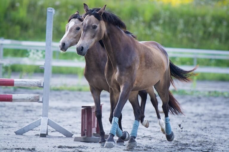 Penyembur Kasut AISYAH HOMES: Penjaga Bau Kasut Peribadi Anda