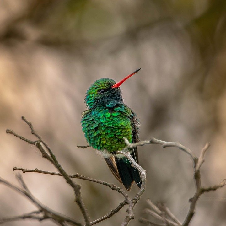 Jom Beli PS5 Slim di Teslatech01: Harga Tak Masuk Akal!