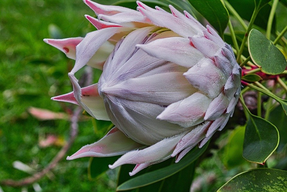 Tips Menghilangkan Bau Kasut Dengan Cara Paling Jimat – AISYAH HOMES