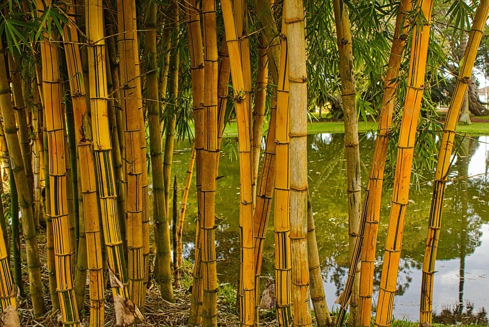 Tips Pilih Palazzo Cotton Mengikut Warna Kulit Anda