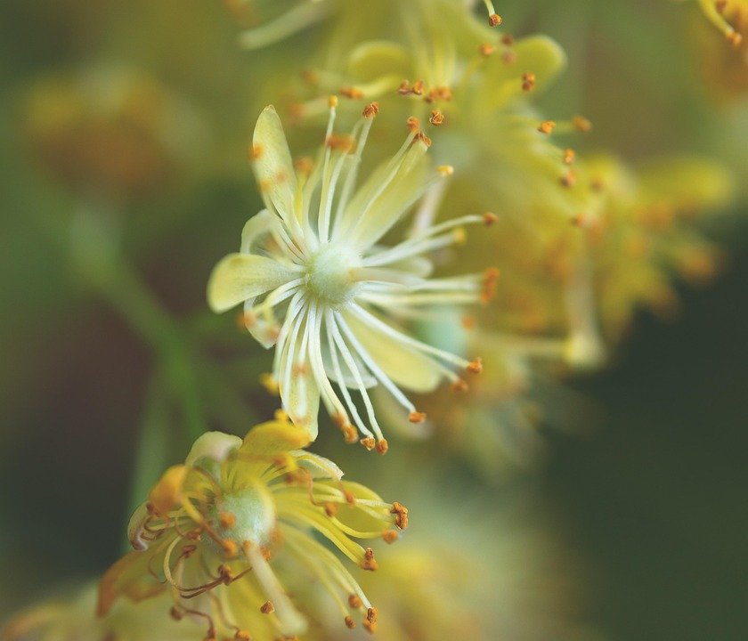 WTHB Tilam Angin Double Size Dengan Pam Automatik: Solusi Lengkap.