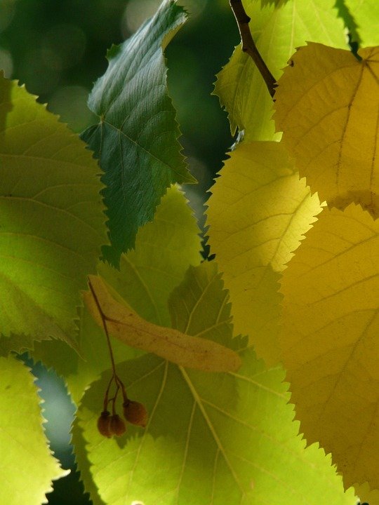 Tilam Angin Camping 5 Lapisan: Direka Khas Untuk Ketahanan.