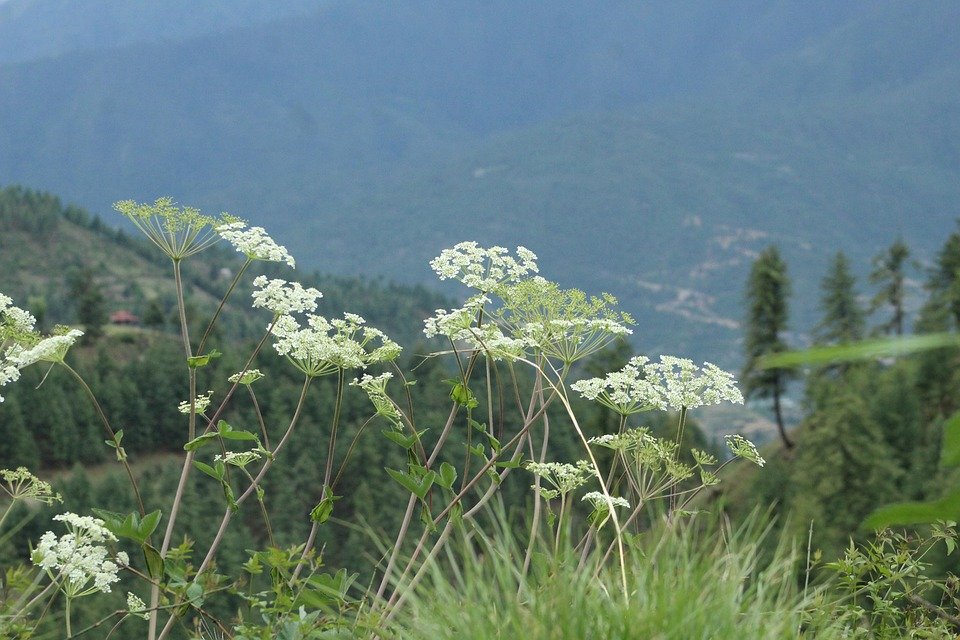 Cara Terbaik Untuk Elak Kasut Berbau Selepas Hujan – AISYAH HOMES