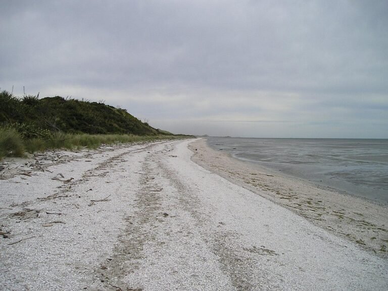 Tips Mekap Cepat dan Flawless dengan Glad2Glow Full Coverage Cushion.